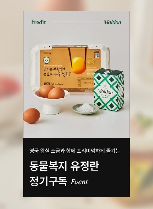 이미지|hy