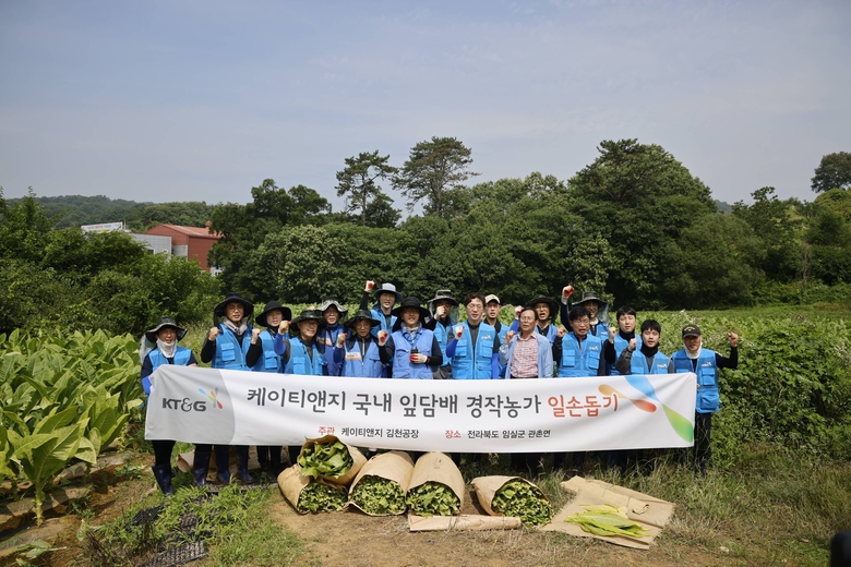 지난 27일 KT&G 임직원이 전라북도 임실군 관촌에서 잎담배 수확 봉사를 진행한 후 기념사진을 촬영한 모습. 사진ㅣKT&G