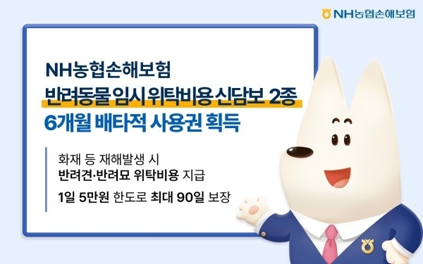 이미지ㅣNH농협손해보험