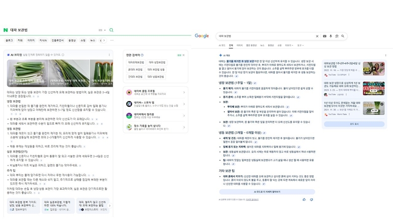 구글과 네이버에 '대파 보관법'을 검색하면 제공되는 AI 답변. 사진ㅣ네이버&구글 캡처