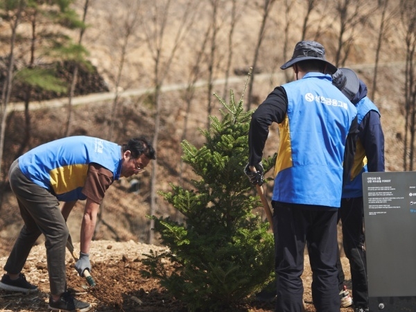 [iN The Scene] 신한금융 안동 산불피해지에 'SOL방울 포레스트' 나무... - 뉴스 썸네일 이미지